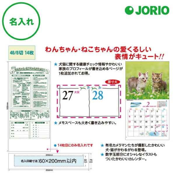 送料無料 2026 令和8年 壁掛け名入れ カレンダー IC-234 キュート(CUTE)めくり 表 社名 団体名 記念品 挨拶 粗品 年末挨拶 祝い 年賀 ノ...