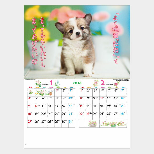 ����̵�� 2026 ����8ǯ �ɳݤ�̾���� �������� IC-200H FOR YOU�ʥե������桼�ˤ��襤��ưʪ �� ǭ ��᤯�� ��ɽ ��̾ ����̾ ��ǰ�� ���� ���� ǯ������ �ˤ� ǯ�� �Υ٥�ƥ� ������