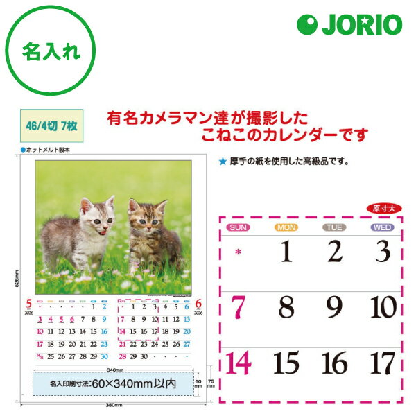 送料無料 2026 令和8年 壁掛け名入れ カレンダー IC-201H かわいい猫 かわいい動物 猫 月めくり 月表 社名 団体名 記念品 挨拶 粗品 年末挨拶...