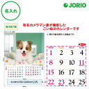送料無料 2026 令和8年 壁掛け名入れ カレンダー IC-203H かわいい犬 かわいい動物 犬 月めくり 月表 社名 団体名 記念品 挨拶 粗品 年末挨拶...