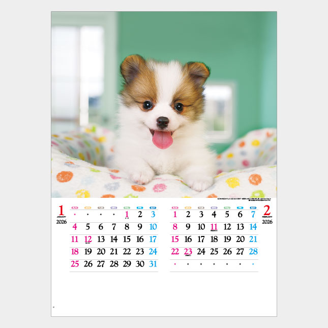 ����̵�� 2026 ����8ǯ �ɳݤ�̾���� �������� IC-203H ���襤���� ���襤��ưʪ �� ��᤯�� ��ɽ ��̾ ����̾ ��ǰ�� ���� ���� ǯ������ �ˤ� ǯ�� �Υ٥�ƥ� ������