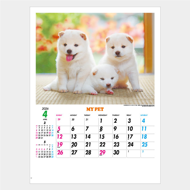 ����̵�� 2026 ����8ǯ �ɳݤ�̾���� �������� IC-261H �ޥ��ڥåȡ�NK-109�� ���襤��ưʪ �� ǭ ��᤯�� ��ɽ ��̾ ����̾ ��ǰ�� ���� ���� ǯ������ �ˤ� ǯ�� �Υ٥�ƥ� ������