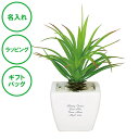 名入れ CT触媒グリーン アガベ 造花 空気 きれい ラッピング ギフトバッグ プレゼント クリスマス ホワイトデー 開店祝い 出産祝い 彼氏 彼女 誕生日 父...