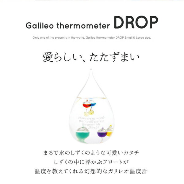 名入れ ガリレオ温度計 ドロップ L 送料無料 開店祝い 開業記念 新築祝い 出産祝い 内祝い 記念品 表彰 ラッピング ギフトバッグ プレゼント クリスマス ホワイトデー 誕生日 父の日 母の日 誕生日 夫婦 結婚祝い 敬老の日