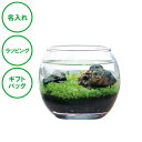 名入れ アクアリウムキット S 送料無料 水草 栽培セット 癒し 水景 ラッピング ギフトバッグ プレゼント クリスマス ホワイトデー 彼氏 彼女 カップル 誕生日 父の日 母の日 誕生日 夫婦 結婚…