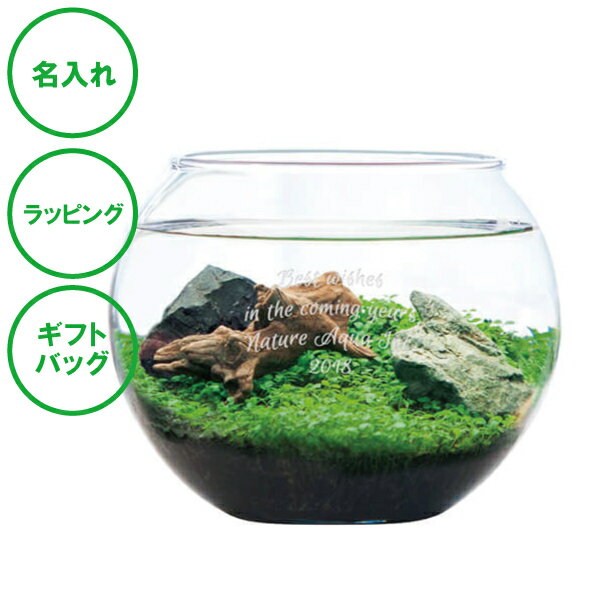 名入れ アクアリウムキット L 送料無料 水草 栽培セット 癒し 水景 ラッピング ギフトバッグ プレゼント クリスマス ホワイトデー 彼氏 彼女 カップル 誕生日 父の日 母の日 誕生日 夫婦 結婚祝い 敬老の日 お土産