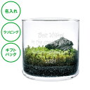 名入れ 苔テラリウムキット L 送料無料 スナゴケ 癒し 退職祝い 記念品 ラッピング ギフトバッグ プレゼント クリスマス ホワイトデー 彼氏 彼女 カップル 誕生日 父の日 母の日 誕生日 夫婦 結婚祝い 敬老の日 お土産