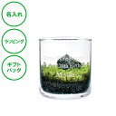 名入れ 苔テラリウムキット S スナゴケ 癒し 退職祝い 記念品 ラッピング ギフトバッグ プレゼント クリスマス ホワイトデー 彼氏 彼女 カップル 誕生日 父の日 母の日 誕生日 夫婦 結婚祝い 敬老の日 お土産(3)