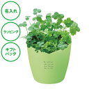 名入れ ラッキークローバーセット 栽培キット クローバー 癒し ハート クリスマス 記念品 ラッピング ギフトバッグ プレゼント ホワイトデー 彼氏 彼女 カッ...