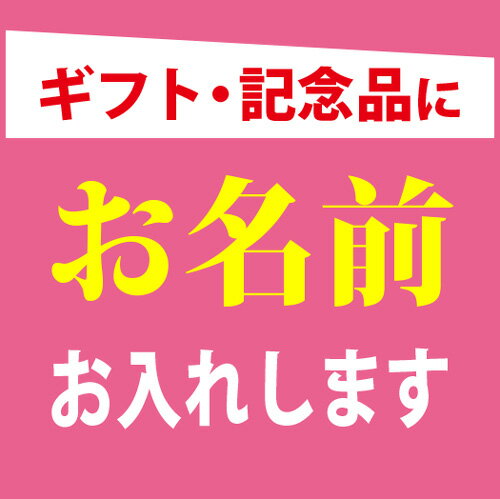 名入れ ボールペン ネームペン パーカー・エアフロー/TKS-PKA-G(GT)/シヤチハタ/印鑑付ボールペン//父の日/就職祝/入学祝/記念品/ギフト/クリスマス/名前入り/成人式/ネーム印/創立記念品/餞別/送別会/還暦/お祝い