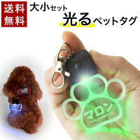 光る お散歩ライト ペットタグ ネームタグ ペット 札 ネームプレート LED USB充電 犬 夜 散歩 交通安全 事故防止 名札 迷子札 ドッグタグ 肉球 名入れ 名札 名前 キーホルダー ランニング ウォーキング 自転車 点滅 点灯