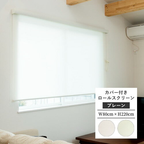 【最大★10,000円オフクーポン】 カバー付 ロールスクリーン フルネス エクシヴ エクシブ プレーン(無地..