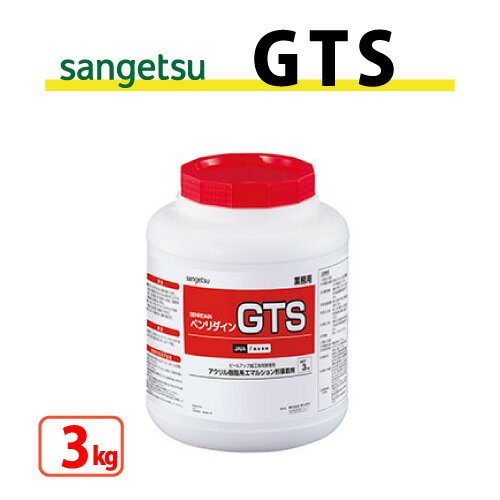 【数量限定★最大10 オフクーポン】 GTS 3kg サンゲツ ベンリダイン BB-558