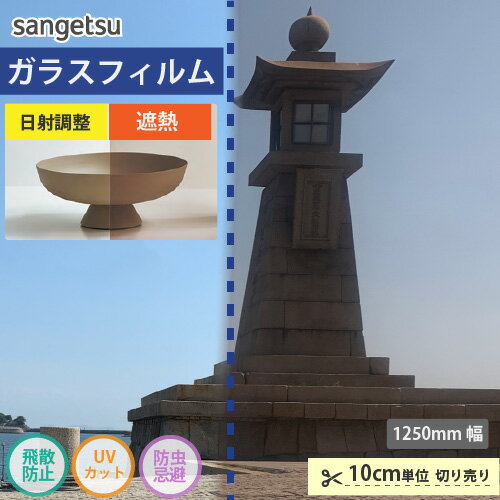 ں3000ߥեݥ 饹ե  󥲥 CLEAS 쥢 ֥50 GF1111-2ڤʸ10cmñ̡ ݸ к 糰