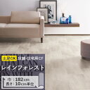 NbVtA yΉ CtHXg CM-11270 TQc H-FLOOR STONE