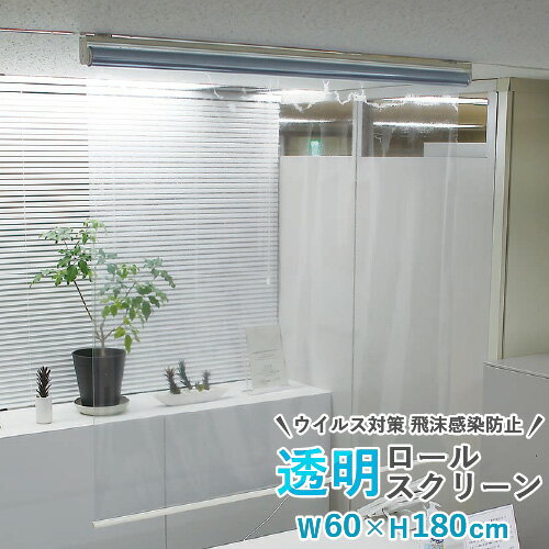 透明シート 透明ロールスクリーン タチカワブラインド 規格品 幅60cm 高さ180cm プルコード