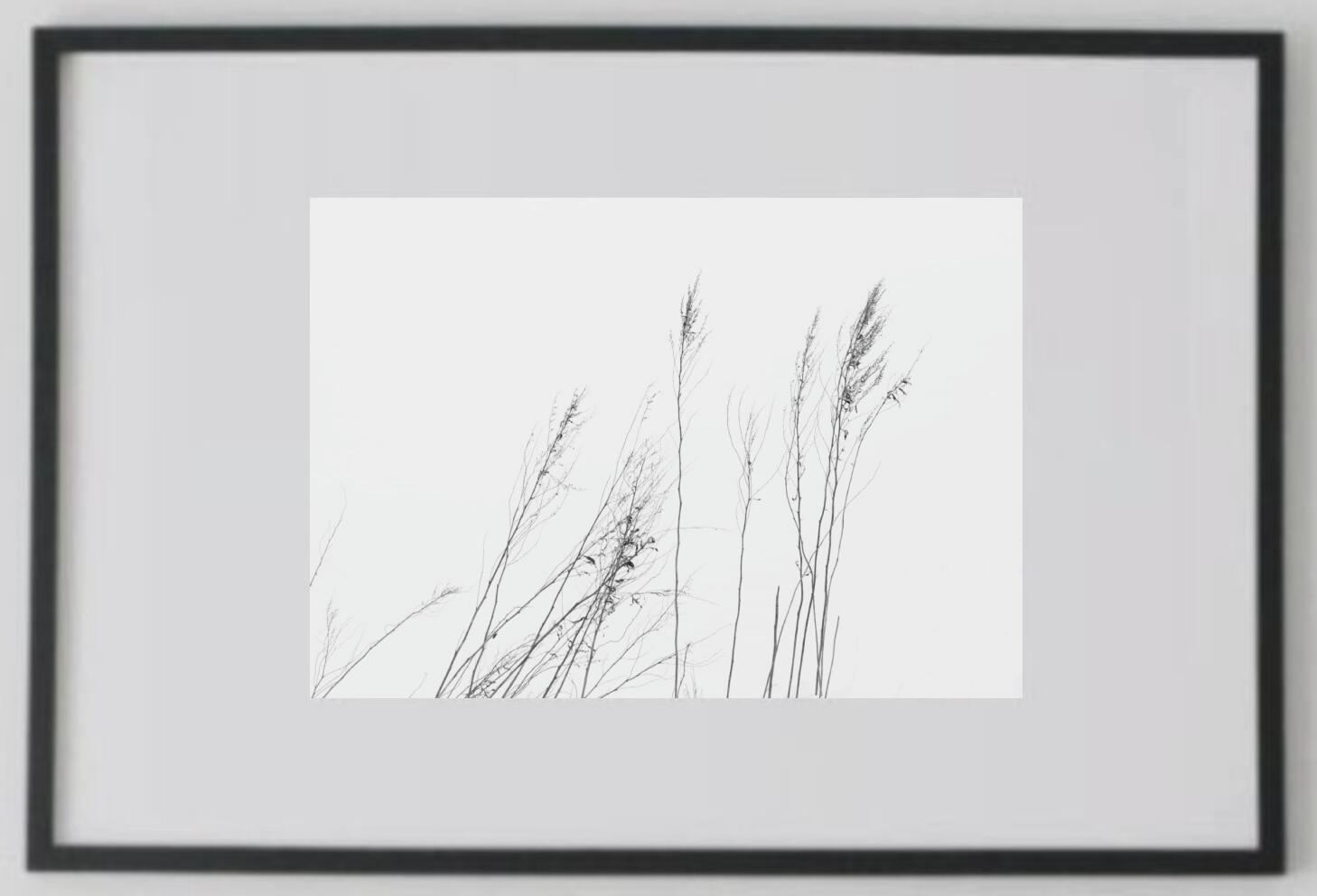 Rakuten - アート作品 インテリア 写真 額装作品 額付き アートパネル 壁掛けアート アートボード 壁掛け モダンアート アートフォト ホテル レストラン 植物 TETSUYA MORIMOTO Minimalism #3 (black wooden frame 63cm×93cm付き)