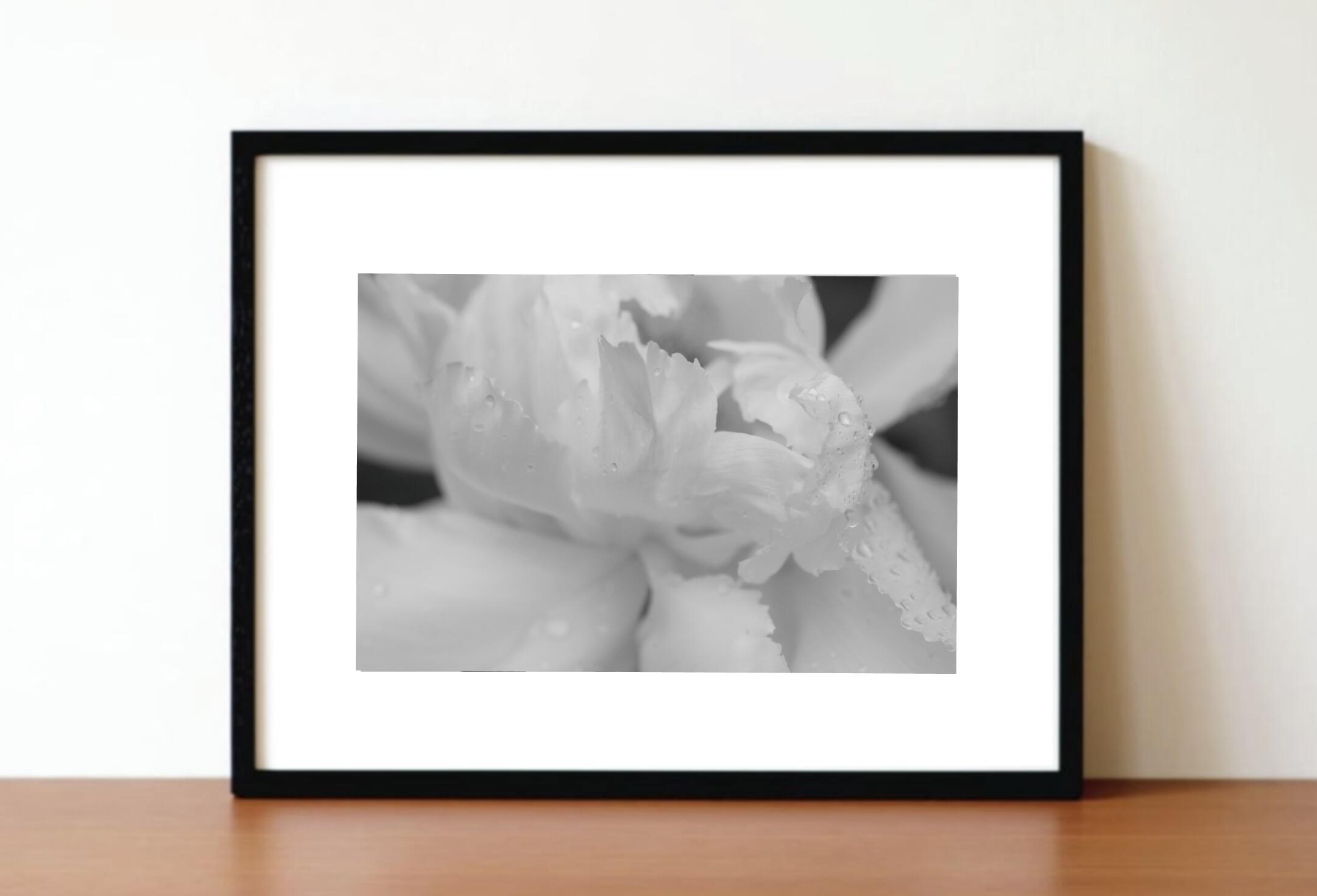 Rakuten - アート作品 インテリア 写真 額装作品 額付き アートパネル 壁掛けアート アートボード 壁掛け モダンアート アートフォト ホテル レストラン 花 Flower (black wooden frame 62.5cm × 47.5cm付き)