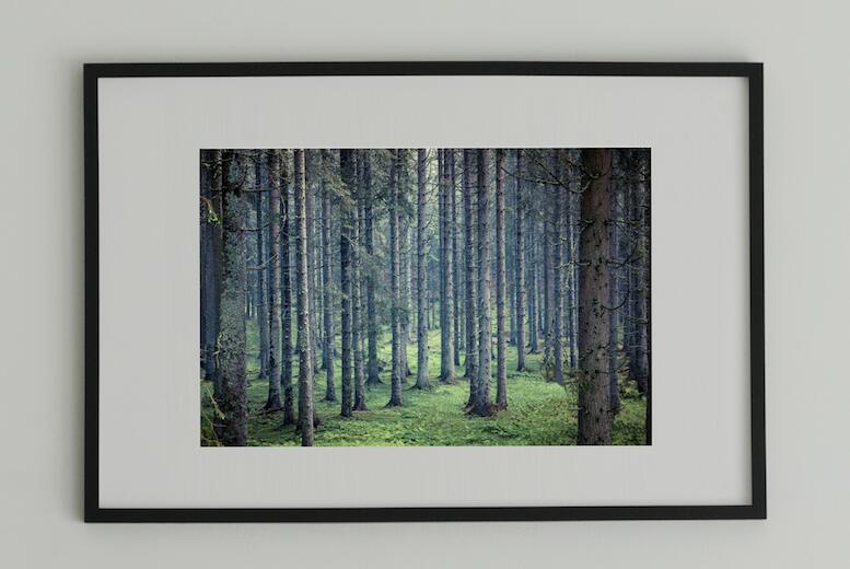 アート アート作品 インテリア 写真 額装作品 額付き アートパネル 壁掛けアート アートボード 壁掛け モダンアート アートフォト ホテル レストラン 森 Deep Forest #3 black wooden frame 50cm×70cm付き ( L )