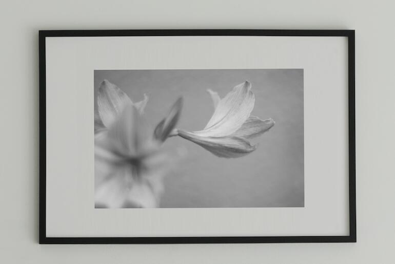 アート アート作品 インテリア 写真 額装作品 額付き アートパネル 壁掛けアート ...