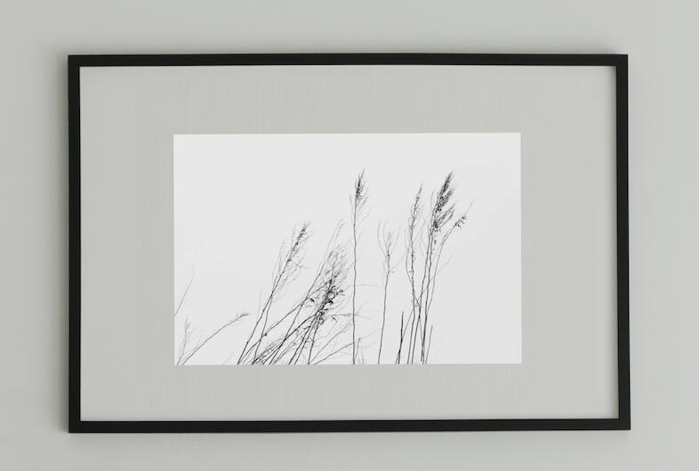 アート アート作品 インテリア 写真 額装作品 額付き アートパネル 壁掛けアート アートボード 壁掛け モダンアート アートフォト ホテル レストラン 植物 Minimalism #3 black wooden frame 63cm×93cm付き ( LL )