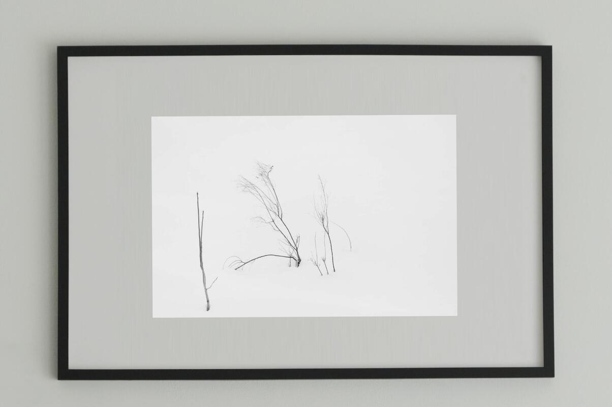 アート アート作品 インテリア 写真 額装作品 額付き アートパネル 壁掛けアート アートボード 壁掛け モダンアート アートフォト ホテル レストラン 植物 Minimalism #1 black wooden frame 50cm×70cm付き ( L )
