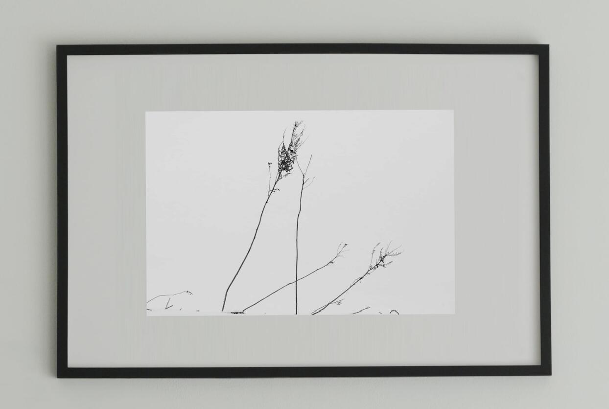 アート アート作品 インテリア 写真 額装作品 額付き アートパネル 壁掛けアート アートボード 壁掛け モダンアート アートフォト ホテル レストラン 植物 Minimalism #2 black wooden frame 50cm×70cm付き ( L )
