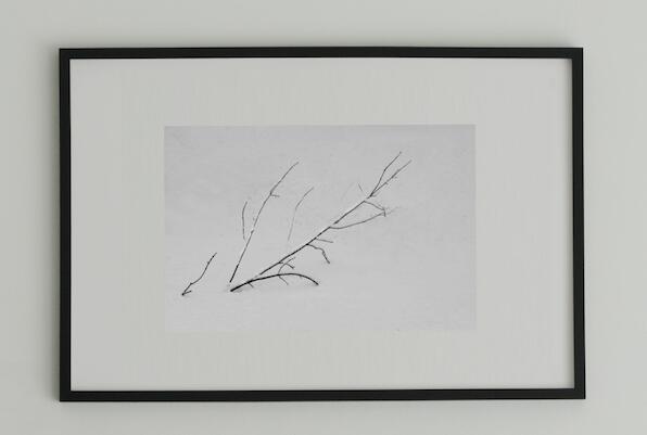 アート アート作品 インテリア 写真 額装作品 額付き アートパネル 壁掛けアート アートボード 壁掛け モダンアート アートフォト ホテル レストラン 植物 Minimalism #5 black wooden frame 50cm×70cm付き ( L )