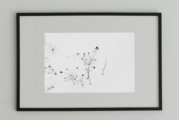 アート アート作品 インテリア 写真 額装作品 額付き アートパネル 壁掛けアート アートボード 壁掛け モダンアート アートフォト ホテル レストラン 植物 Minimalism #6 black wooden frame 50cm×70cm付き ( L )