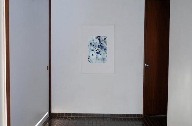 アート アート作品 インテリア 写真 額装作品 額付き アートパネル 壁掛けアート アートボード 壁掛け モダンアート アートフォト ホテル レストラン 花 青 Flower #3 white wooden frame 63cm×93cm付き( LL ) [2]