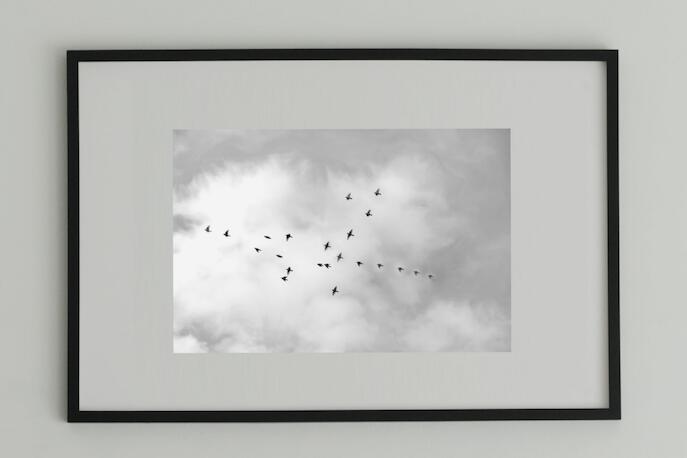 アート アート作品 インテリア 写真 額装作品 額付き アートパネル 壁掛けアート アートボード 壁掛け モダンアート アートフォト ホテル レストラン 鳥 ムクドリ Tori #2 black wooden frame 50cm×70cm付き ( L )