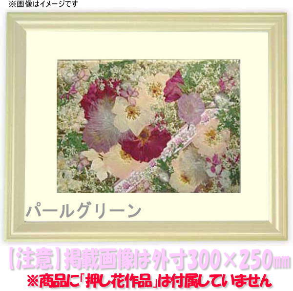 商品名 押し花額縁　5654/パールグリーン　八つ切サイズ(額縁裏面内寸303×242mm) 色 パールグリーン その他色 パールブルー　パールオレンジ サイズ 八つ切(額縁裏面内寸303×242mm） ガラスサイズ：300×239mmマット中抜き：2号（190×134mm） 縁幅：20mm 縁厚：17mm その他サイズ &gt; インチ(254×203mm) &gt; 太子(379×288mm) &gt; 四つ切(424×348mm) &gt; 大衣(509×394mm) &gt; 半切(545×424mm) &gt; 三三(605×454mm) &gt; 小全紙(660×509mm) &gt; 大全紙(727×545mm) 材質 木製 商品特徴 ・5〜9ミリ厚押し花の額装に最適 ・タテヨコ兼用 ・深さが15ミリ程度となるように加工し、発送します 付属品 透明ガラス板、吊紐、裏板、箱、中抜きマット、穴ベニヤ 備考 ※押し花26額・36額・49額など（マット付き・穴ベニヤなし）はこちら ※押し花3号・押し花6号など（穴ベニヤ付き・マットなし）はこちら 送料 【送料について】商品のサイズ・お届け先地域により送料は異なります。 3,980円以上のお買い上げで送料無料（大型商品・一部商品除く） 納期 受注確定、決済完了後、翌〜翌々営業日出荷 特注サイズ制作 可能（“お問い合わせ”ボタンからお問い合わせ下さい） 注意事項 ※商品の色は、出来る限り商品に近付けて色補正しておりますが、ご使用のディスプレイによっては実際の色と異なって見える場合がありますので予めご了承下さい。