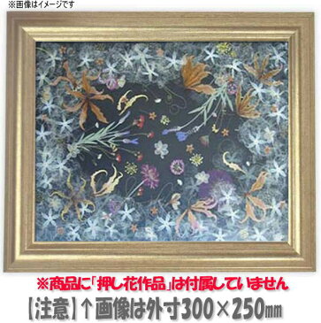 押し花額縁　9580/シルバー　押し花20号サイズ(ガラス寸法724×527mm)【os-A】【絵画/壁掛け/インテリア/玄関/アートフレーム】