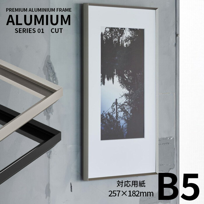 ݥե졼 ߥ å B5(257182mm) С/֥å UVåȥ ALUMIUM SERIES [CUT] 