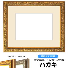 https://thumbnail.image.rakuten.co.jp/@0_mall/naito-frame/cabinet/shohin/shashin/syashin-syain-g-ha.jpg