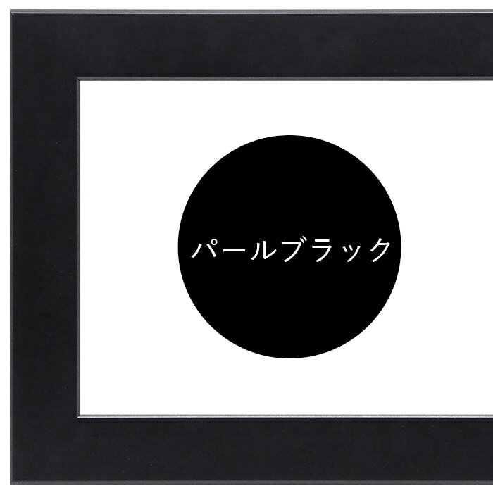 横長額縁 5659 600×300mm パールブラック/パールホワイト 前面アクリル仕様