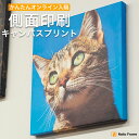 側面印刷キャンバスプリント 長方形・正方形タイプ(長方形:F3/F4/F6/F8/F10/F12/F15/F20 正方形:S3/S4/S6/S8/S10/S12...