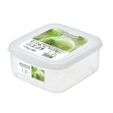 Agフレッシュキーパー スナックケースL 1300ml B-1705FR