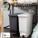 エバン　棚下でも使える！両開きペダルペール30L　2個セット