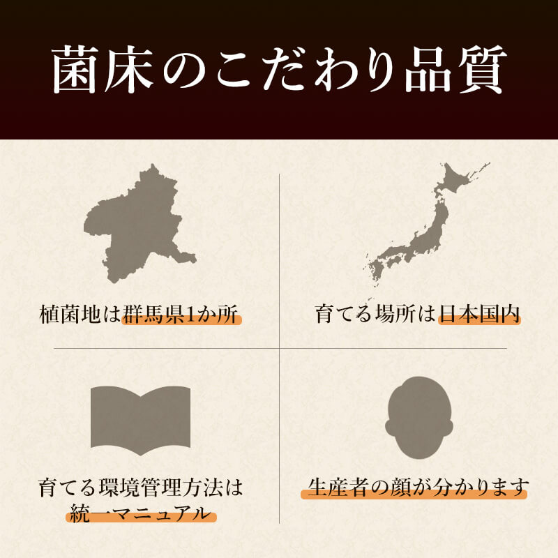 Nマーケットの椎茸 菌床付き たのしいたけ 栽培 菌 自宅 しいたけ きのこ キノコ栽培 栽培キット 室内 おいしい 菌床 国産 しいたけ栽培 障がい者支援 椎茸栽培キット シイタケ キノコ もぎたて 就労支援 食感 子供 自由研究 説明書付き｜アングル3