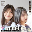 シートエクステ テープ式 ワンタッチ ヘアアレンジ おしゃれ ロング カラー ブラウン アッシュ グレー ウィッグ かつら レディース 薄毛 カラーエクステ つけ毛 人口毛 おしゃれ 女性 美容院 プロ