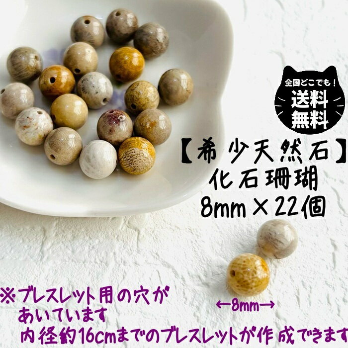 希少 天然石 珊瑚 8mm 粒 22個 セット パワーストーン 化石 サンゴ フォッシルコーラル 風水 開運 邪気 厄除け 長寿 健康 レディース キッズ メン...