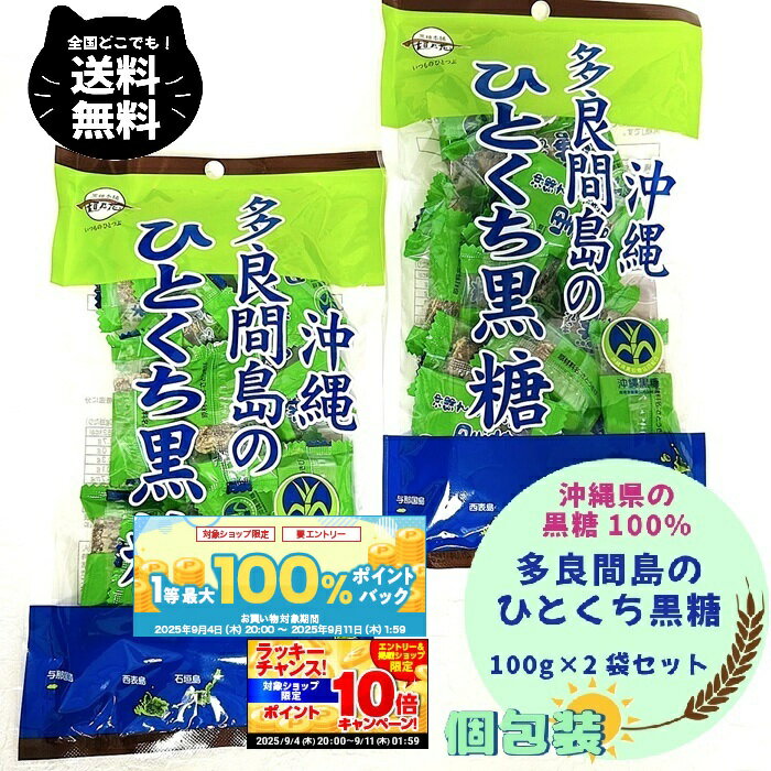 【P10倍確定※エントリー必須】1,000円ポッキリ 沖縄 垣乃花 多良間島 ひとくち黒糖 100g 2袋セット 純黒糖 さとうきび 個包装 まろやか おでかけ 黒糖 熱中症 暑さ対策 手土産 送料無料 買い回りのサムネイル