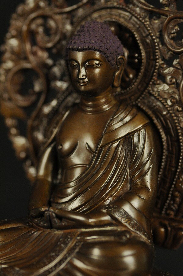 ������ǡ�� Ƽ¤Ħ��ž夲