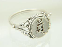 �ḭ��������