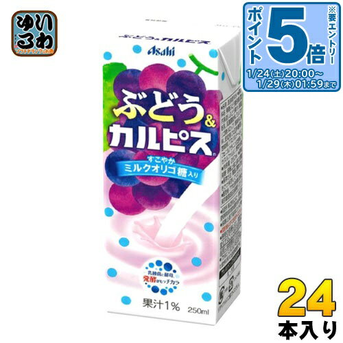 〔エントリーでポイント5倍！〕 エルビー ぶどう&カルピス 250ml 紙パック 24本入
