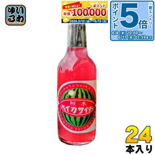 〔エントリーでポイント5倍！〕 友桝飲料 熊本すいかサイダー 245ml 瓶 24本入 〔炭酸飲料〕