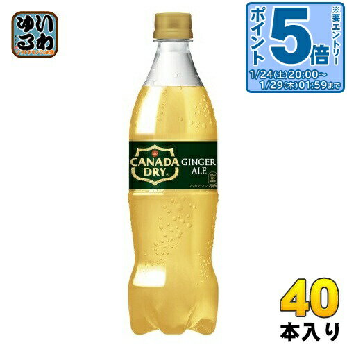 〔エントリーでポイント5倍+11倍！〕 コカ・コーラ カナダドライ ジンジャーエール 700ml ペットボトル 40本 (20本入×2 まとめ買い) 炭酸飲料 ジンジャエール ノンカフェイン 甘さ控えめ 後味スッキリ