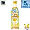 〔エントリーでポイント5倍!〕 アサヒ クラフトシロップ すきっとみかん 5倍希釈用 470ml プラスチックボトル 12本入 果汁 オレンジ 原液 約15杯分