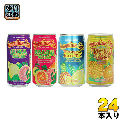 ハワイアンサン 4種アソートパック 340ml 缶 24本入 〔果汁飲料〕